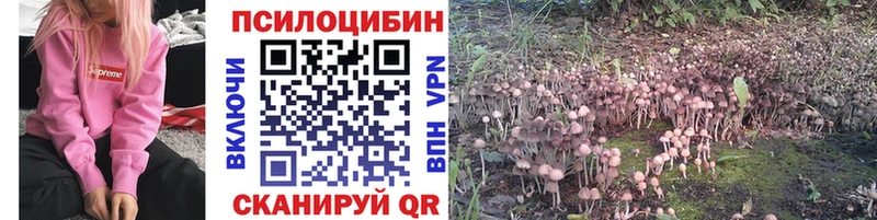 Псилоцибиновые грибы Cubensis  Среднеколымск 
